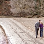 Melissa and Nick's Engagement Photo Session in Lake Oswego